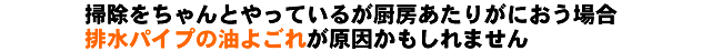 厨房の掃除を十分に行っているが、厨房が何となく臭い場合、排水パイプにたまった汚れが原因かもしれません