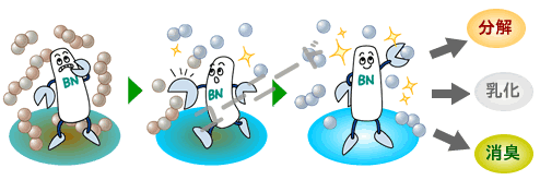 ビーエヌクリーンのBN菌の作用イメージ