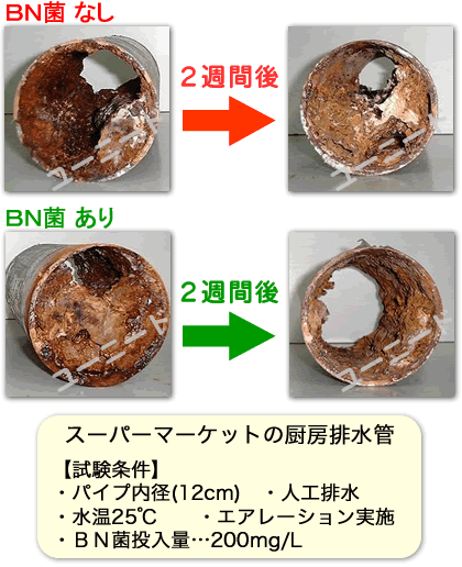 業務用の油脂分解パイプクリーナー ビーエヌクリーンとは