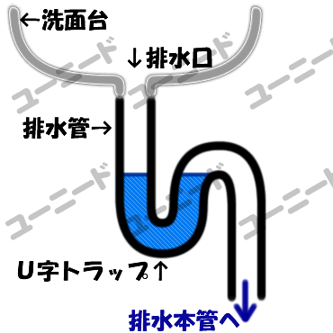 洗面台の排水トラップの説明図